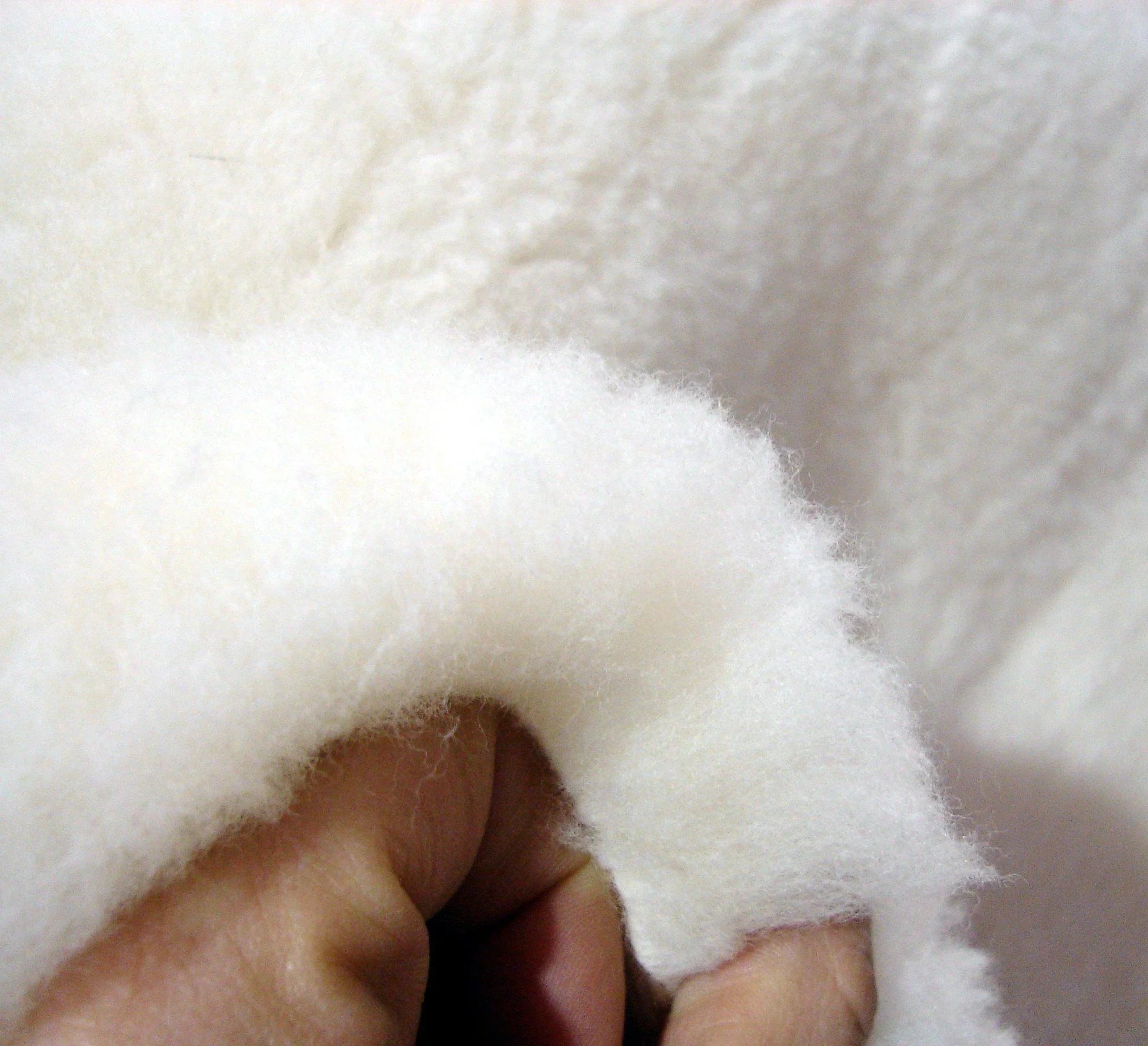 Wool vs Synthetic Bedding: What the Dust Mite and Mold Lab Tests Actually Show