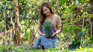 We Planted 100,000 Trees!