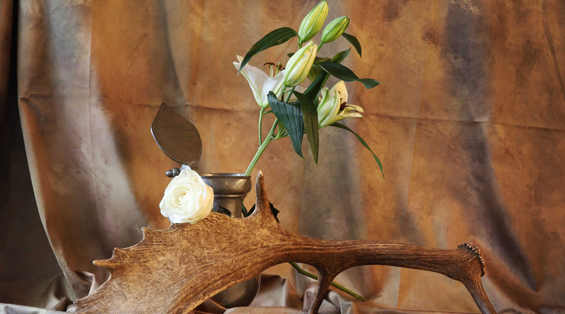 Why You Need Deer Antler