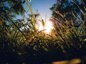 VDR Activation and Mold Illness: Why Vitamin D Isn't Working (And What Might)
