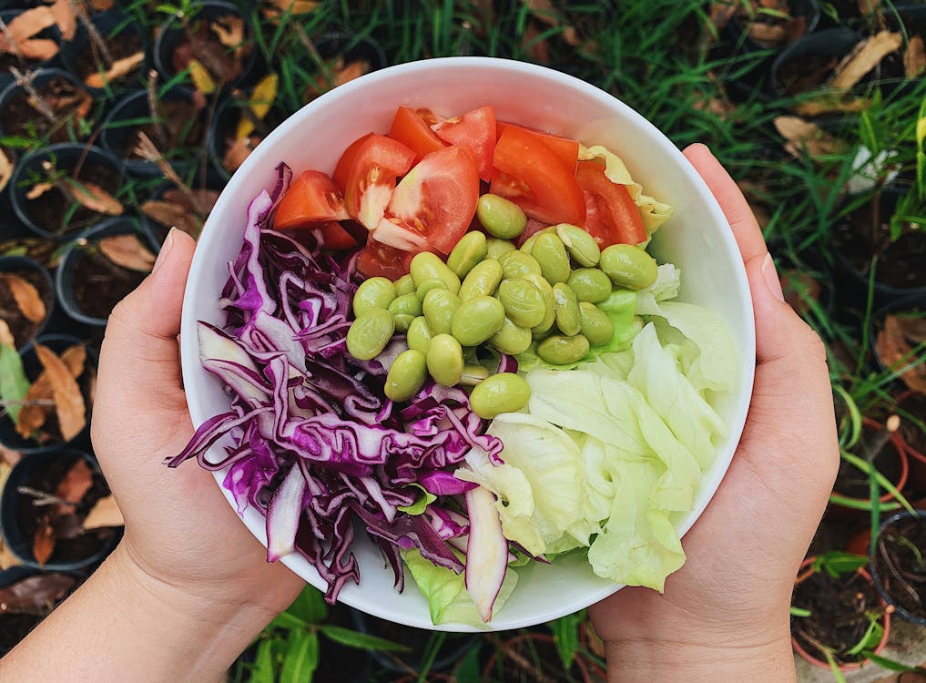 NuManna vs ReadyWise — Which Emergency Food Is Actually Healthier?