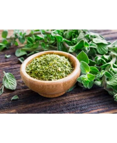 Oregano Oil