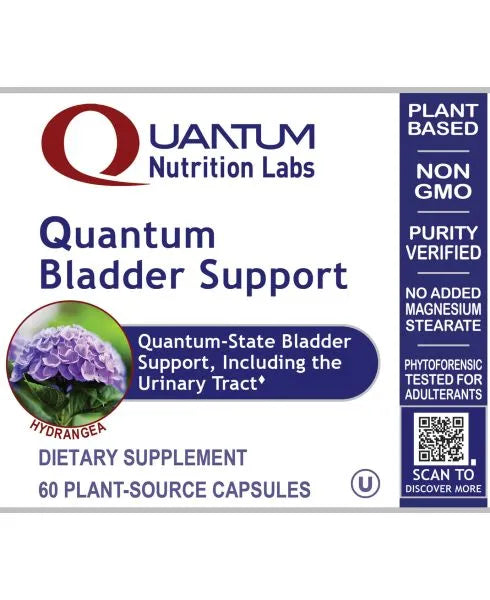 Bladder Support
