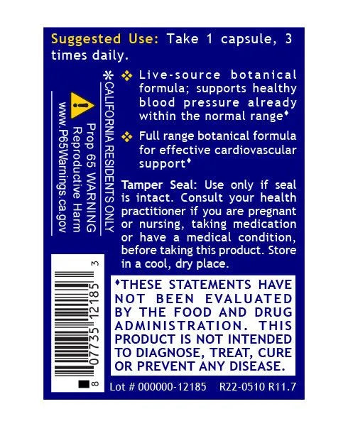 Blood Pressure Support