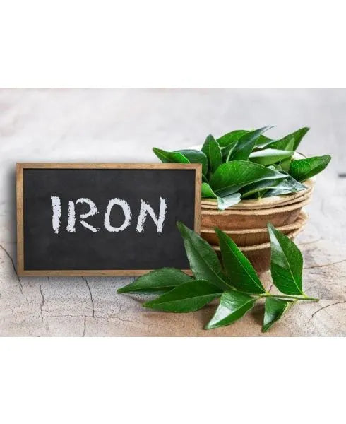 Plant Iron