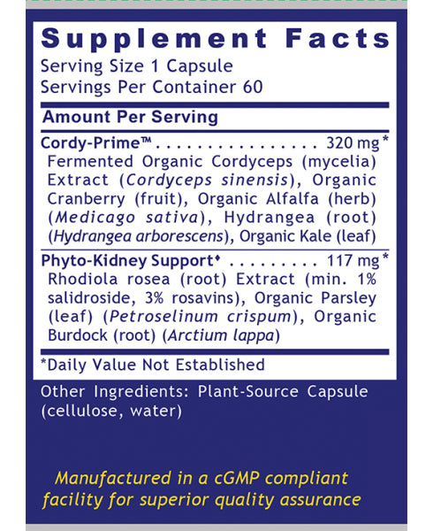 Kidney Support