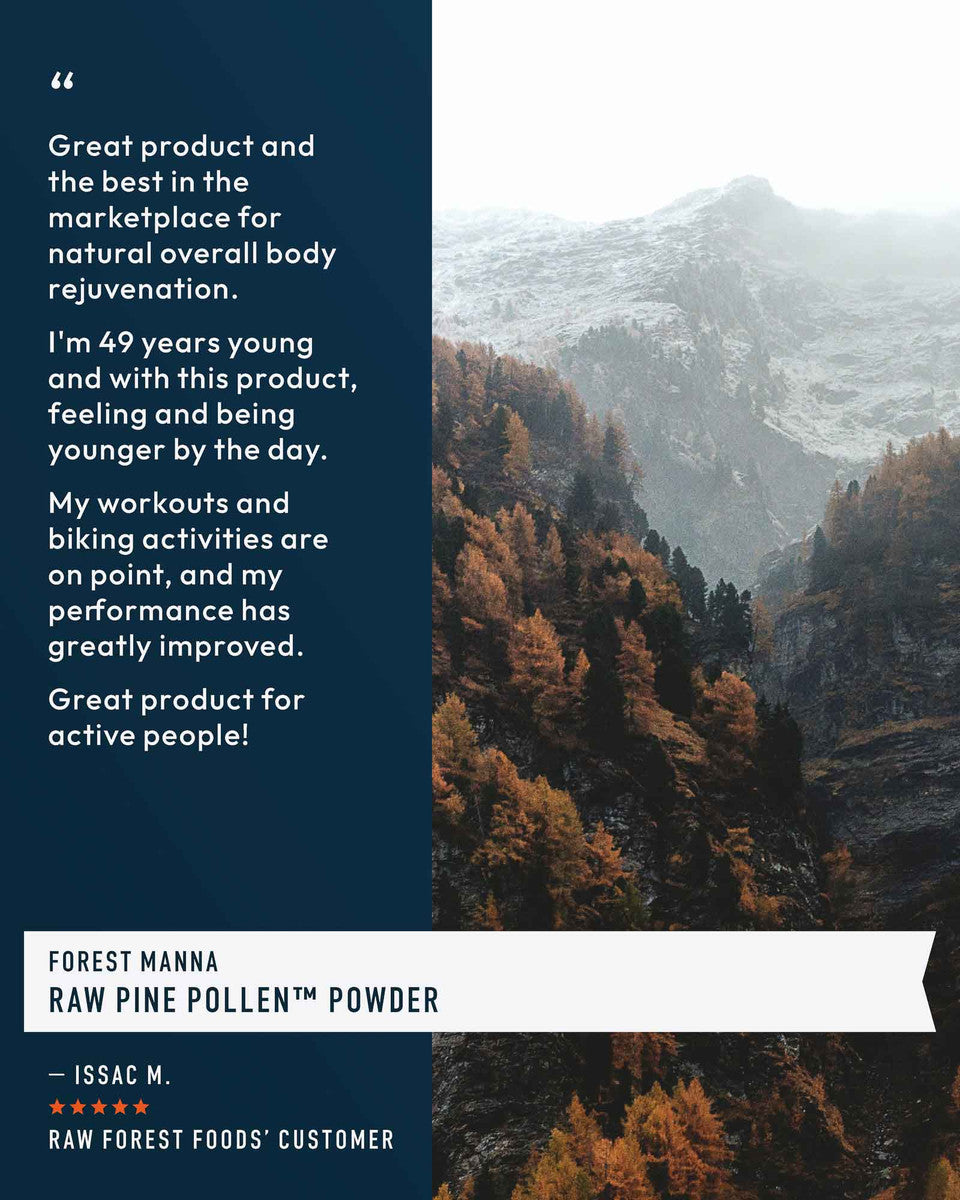 Forest Manna RAW Pine Pollen Powder » 280 Gram Jar