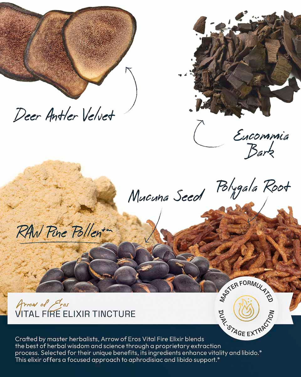 Arrow of Eros Vital Fire Aphrodisiac Elixir Tincture » 4 Ounce Bottle