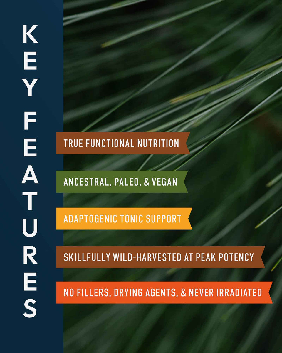 Forest Manna RAW Pine Pollen Powder » 280 Gram Jar