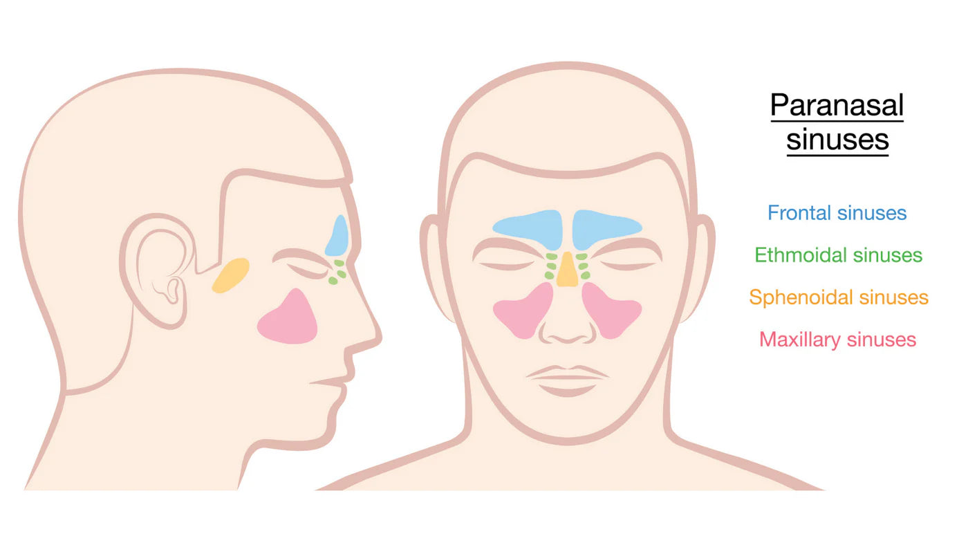 TheraComfort Weighted Eye Pillow