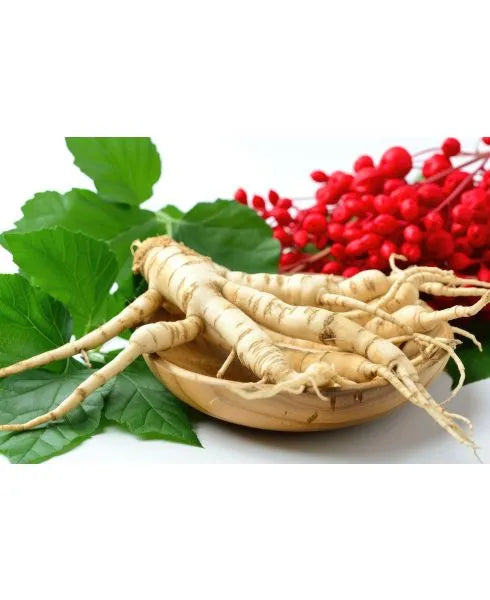 American Ginseng