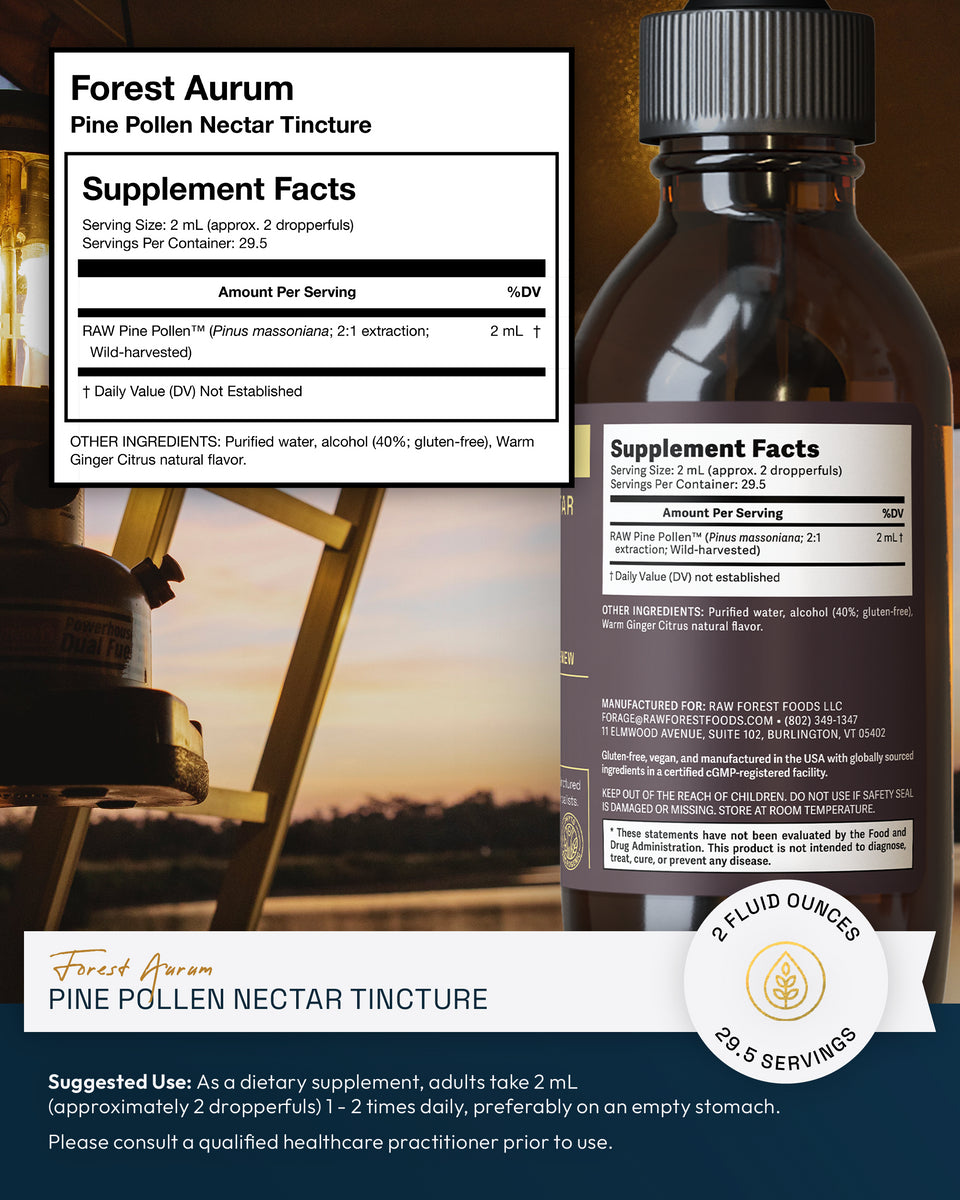 Forest Aurum Pine Pollen Nectar Tincture » 2:1 Dual-Stage Extract » 2 Ounce Bottle
