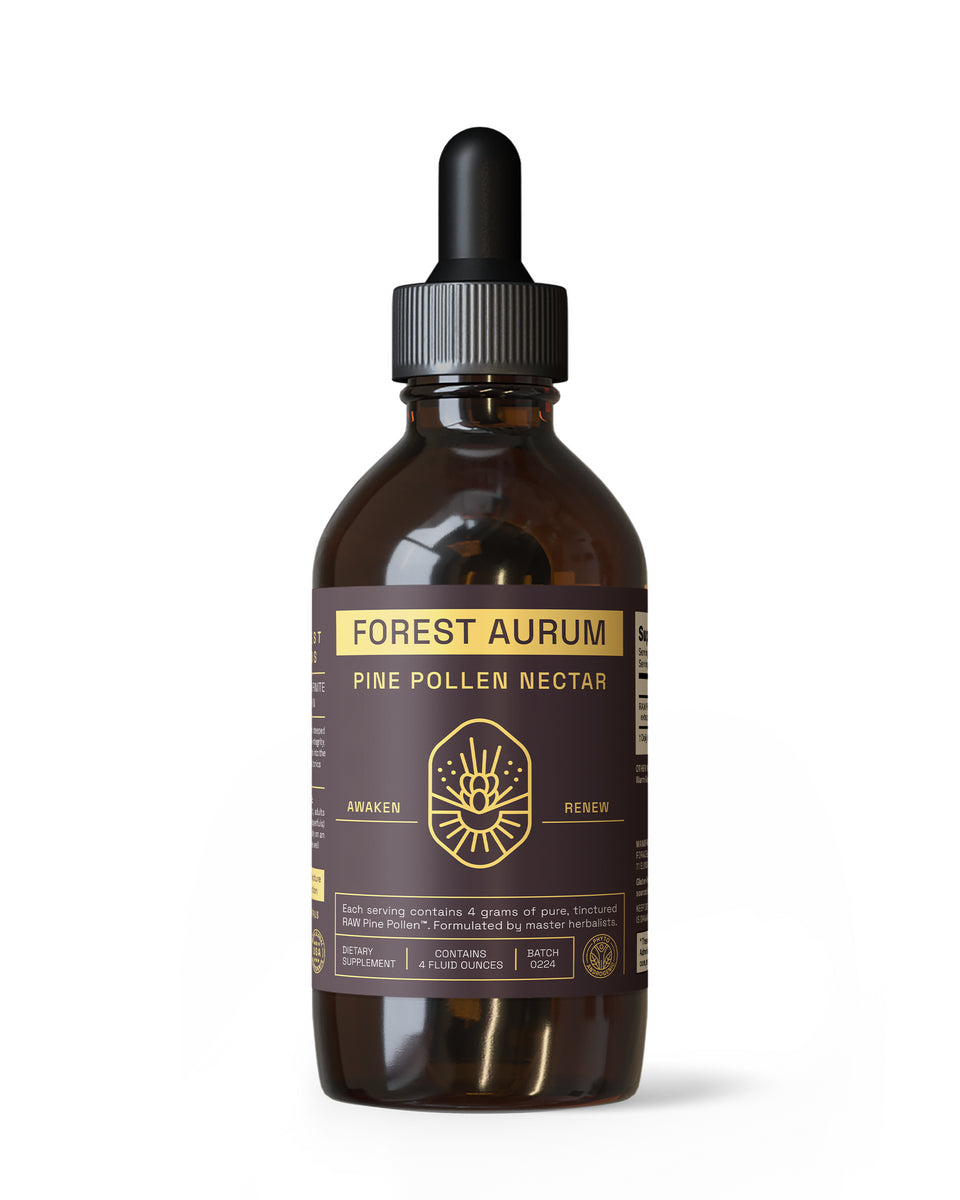 Forest Aurum Pine Pollen Nectar Tincture » 2:1 Dual-Stage Extraction » 4 Ounce Bottle
