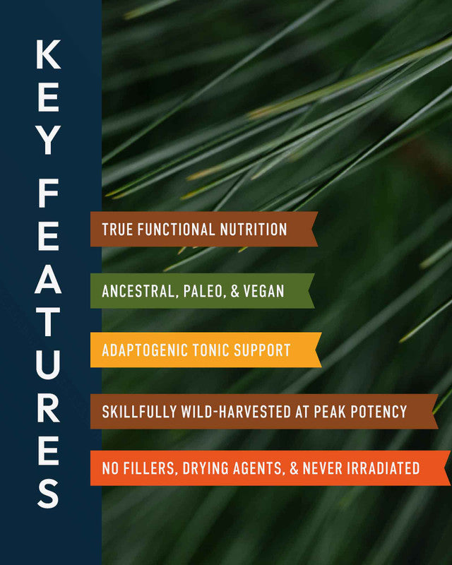 Forest Manna RAW Pine Pollen Capsules » 120 Count Bottle