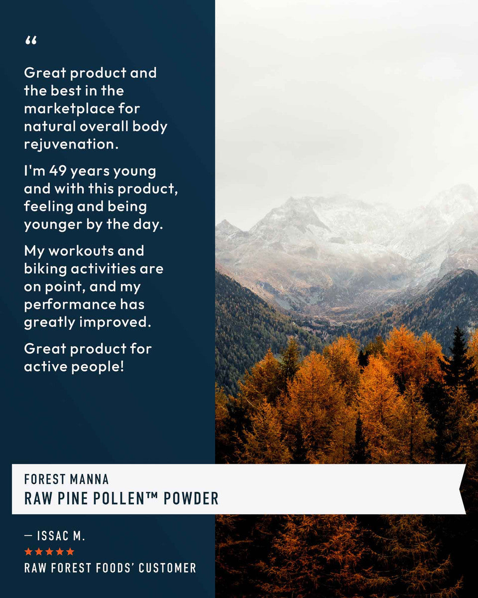 Forest Manna RAW Pine Pollen Powder » 70 Gram Jar