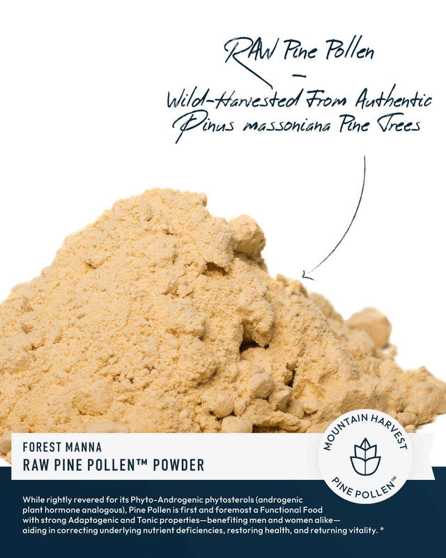 Forest Manna RAW Pine Pollen Powder » 70 Gram Jar