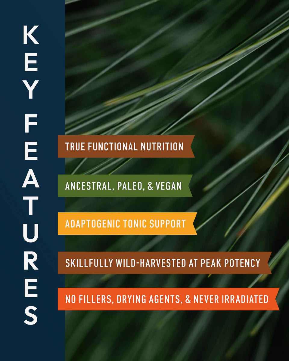 Forest Manna RAW Pine Pollen Powder » 70 Gram Jar