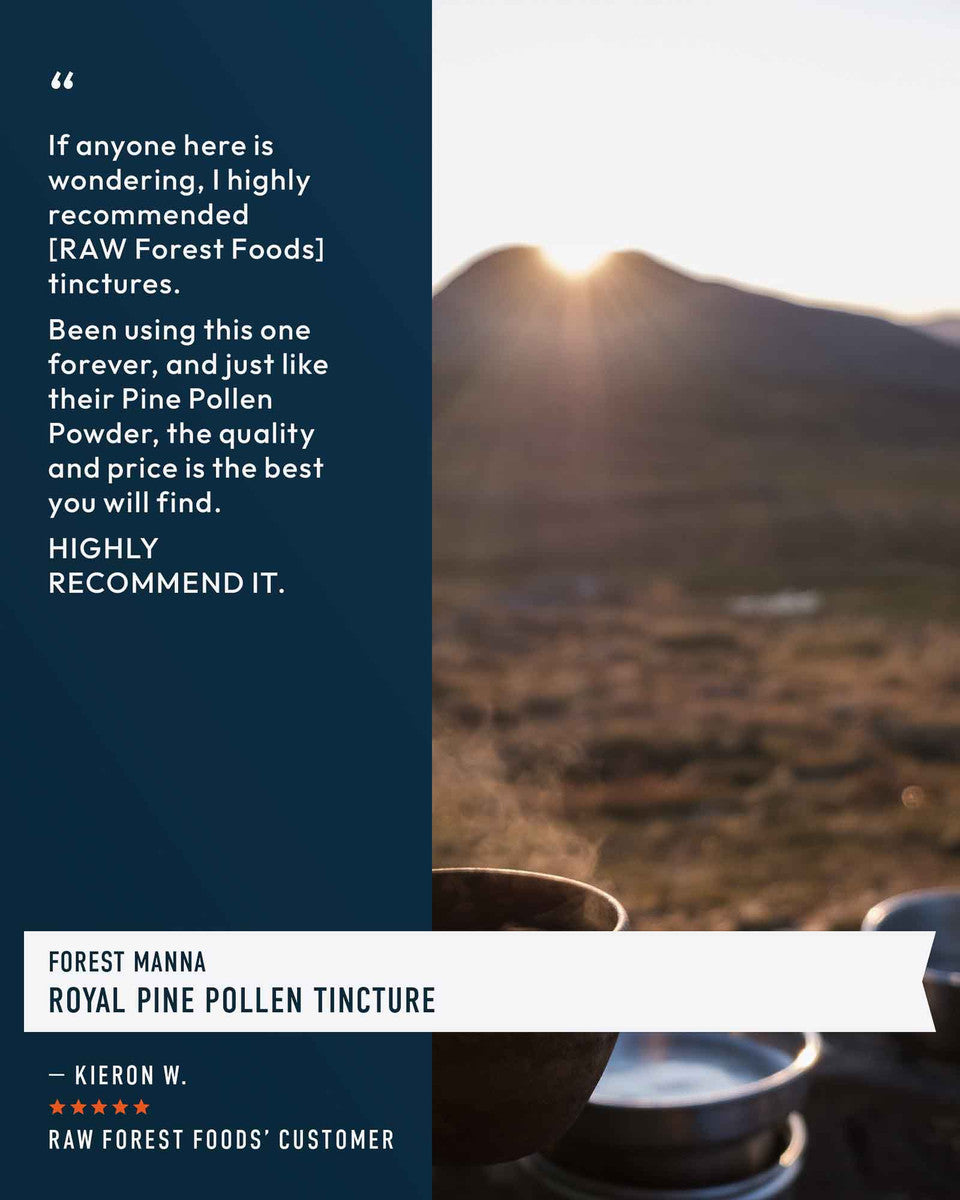 Forest Manna Royal Pine Pollen Tincture » Pure RAW Pine Pollen » 2 Ounce Bottle