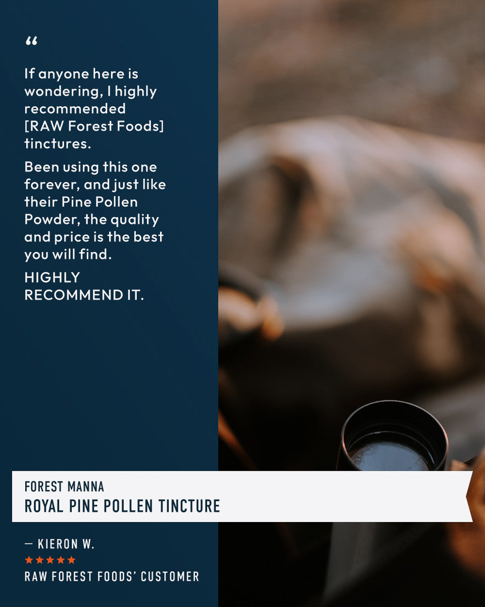 Forest Manna Royal Pine Pollen Tincture » Pure RAW Pine Pollen » 4 Ounce Bottle
