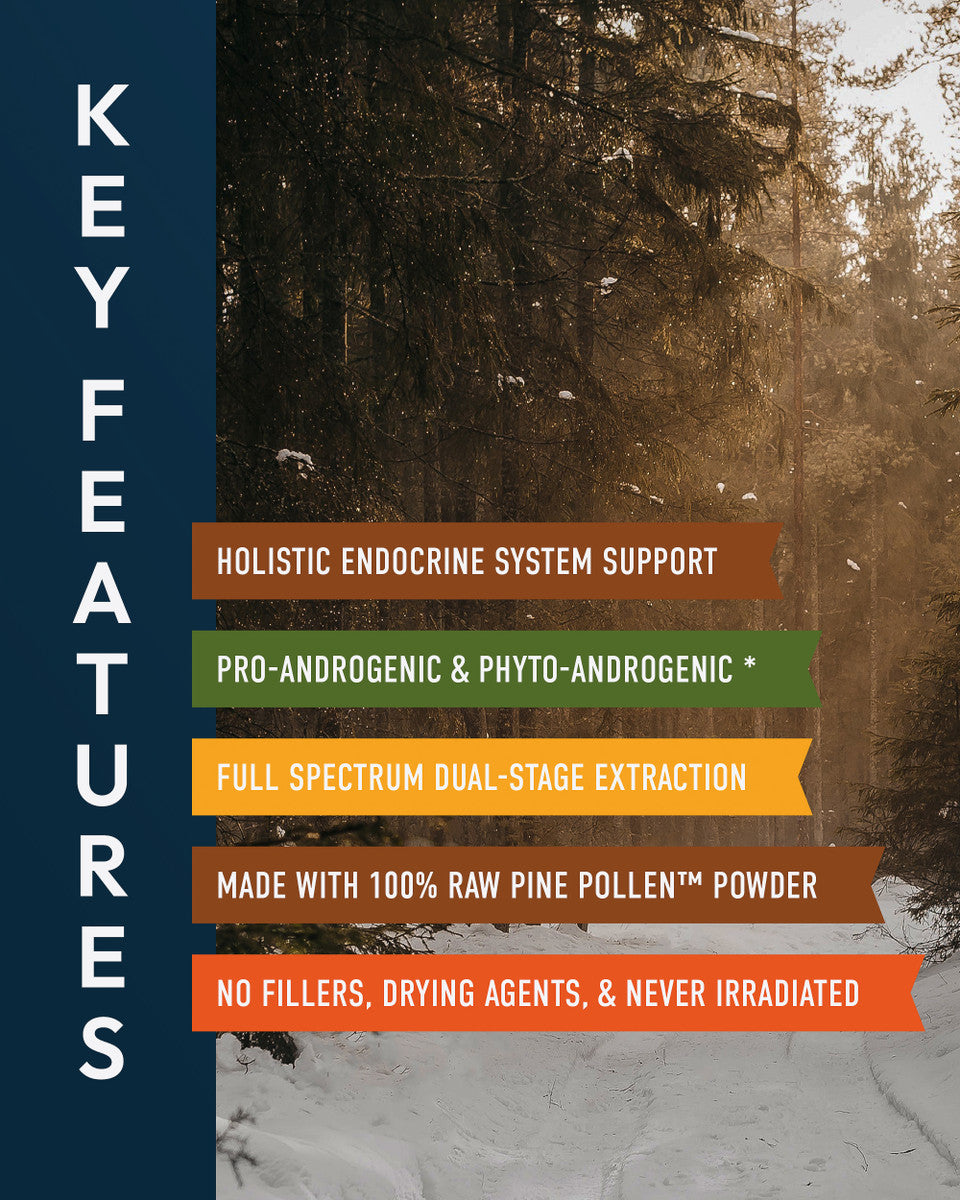 Forest Manna Royal Pine Pollen Tincture » Pure RAW Pine Pollen » 4 Ounce Bottle