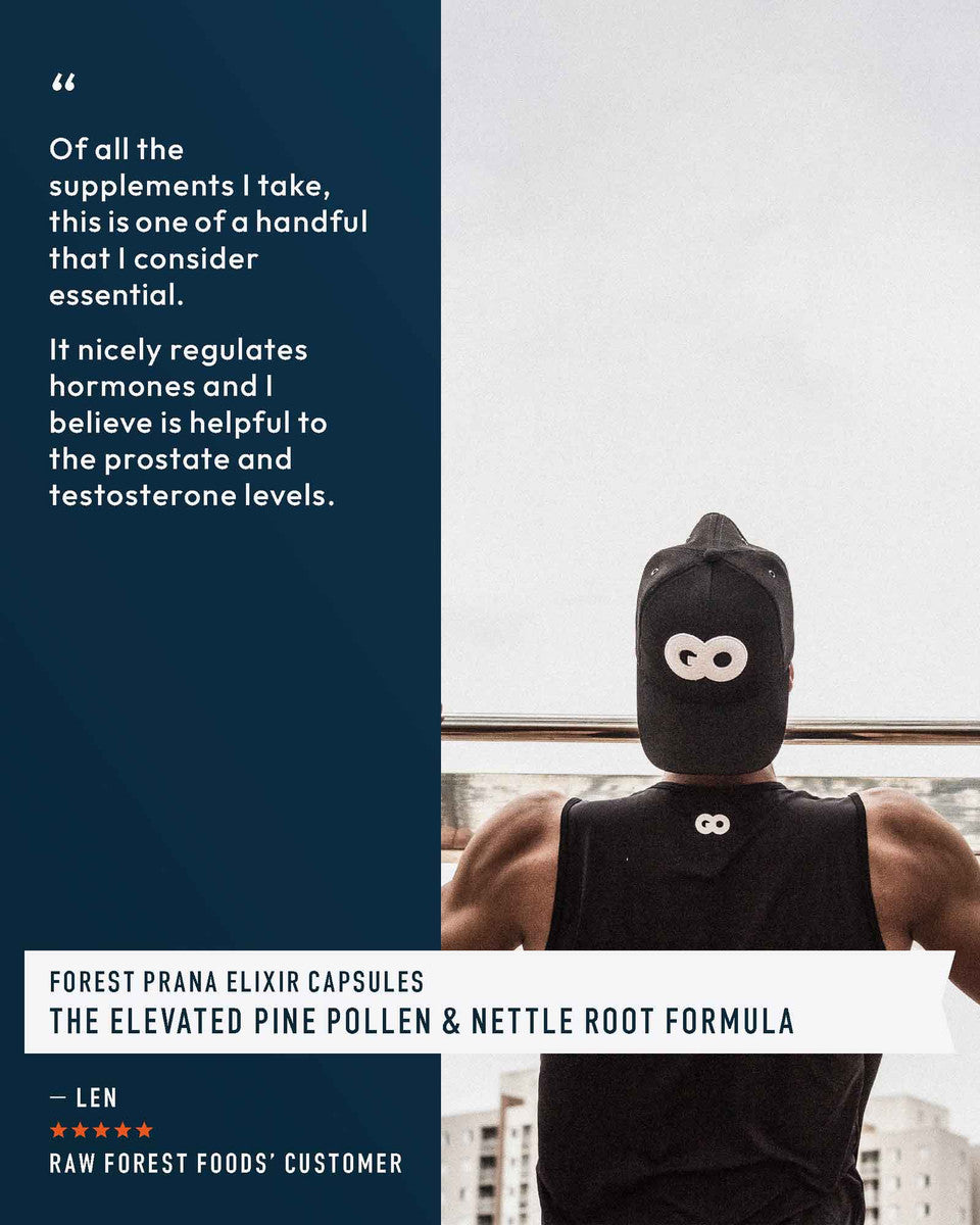 Forest Prana Elixir Pine Pollen and Nettle Root Capsules » 120 Count Bottle