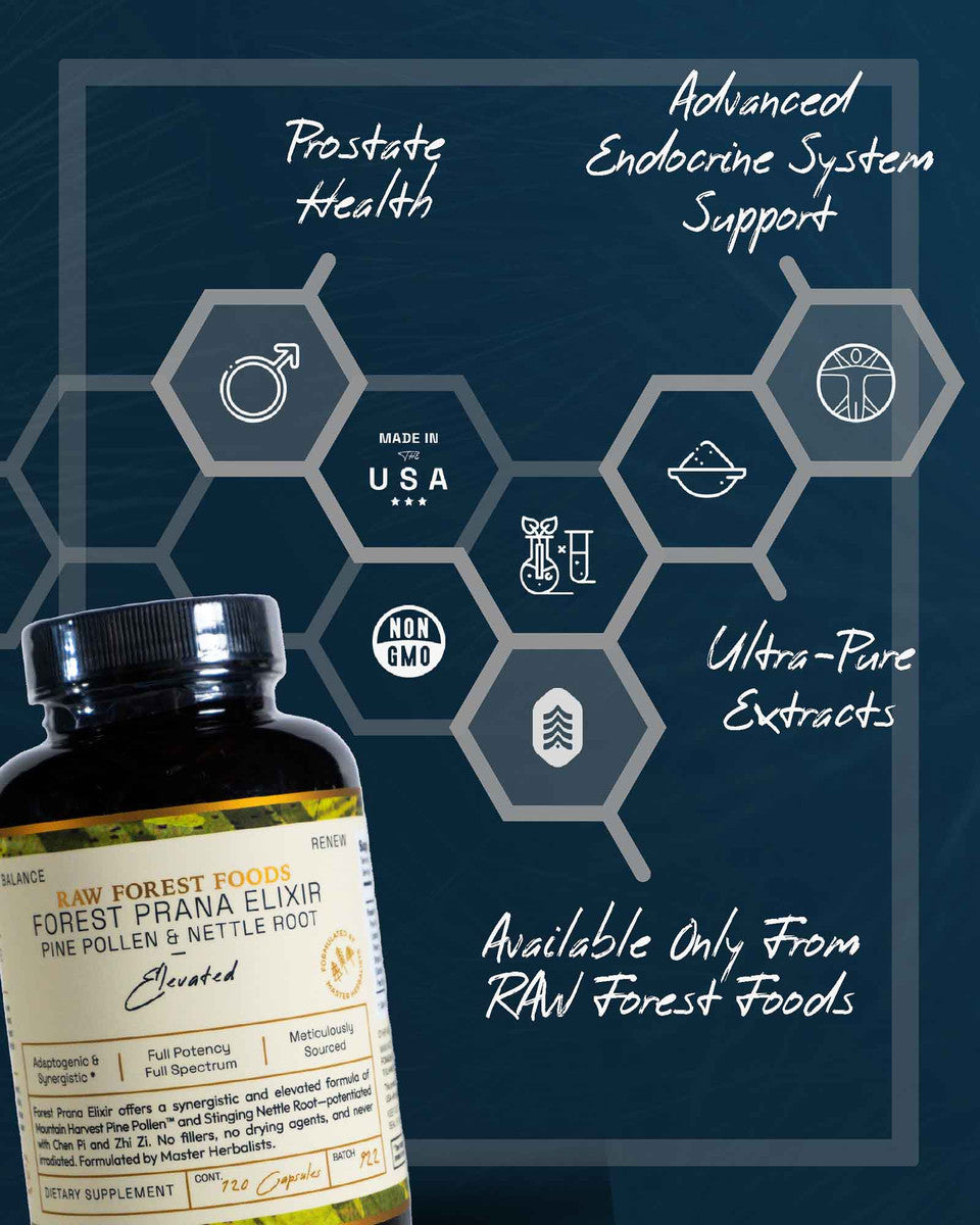 Forest Prana Elixir Pine Pollen and Nettle Root Capsules » 120 Count Bottle