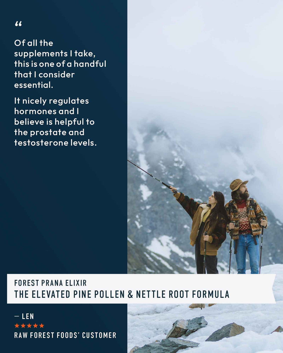 Forest Prana Elixir Pine Pollen and Nettle Root Powder » 70 Gram Jar