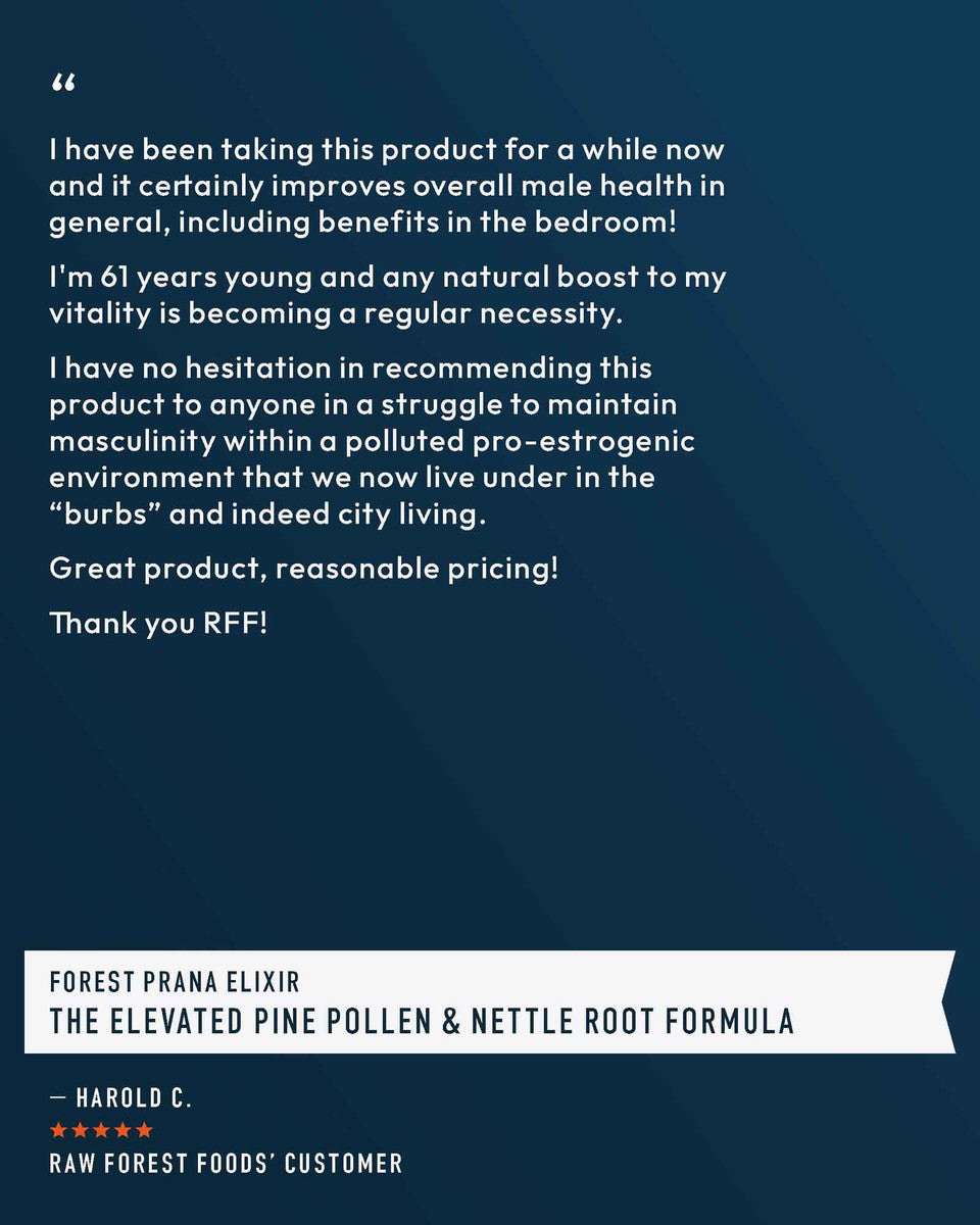 Forest Prana Elixir Pine Pollen and Nettle Root Powder » 70 Gram Jar