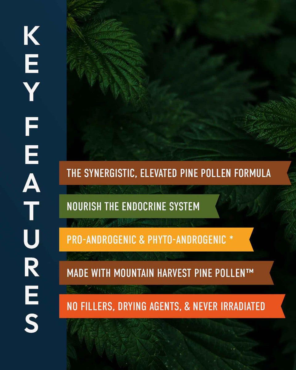 Forest Prana Elixir Pine Pollen and Nettle Root Powder » 70 Gram Jar