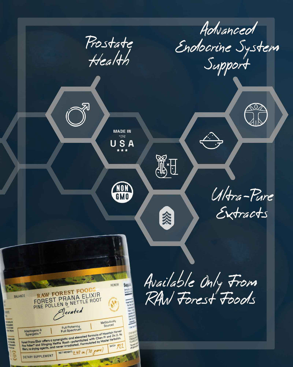 Forest Prana Elixir Pine Pollen and Nettle Root Powder » 70 Gram Jar