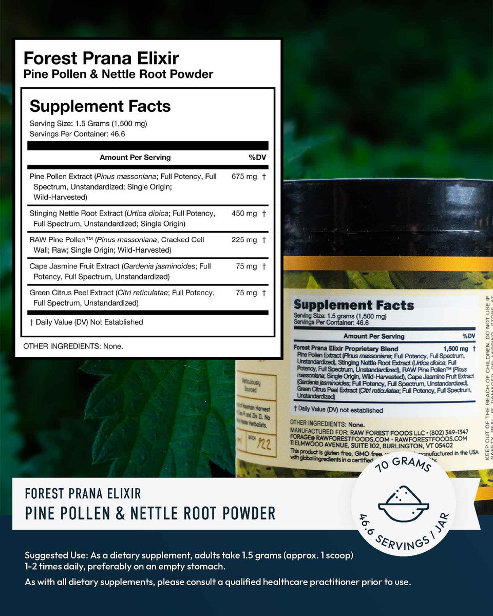 Forest Prana Elixir Pine Pollen and Nettle Root Powder » 70 Gram Jar