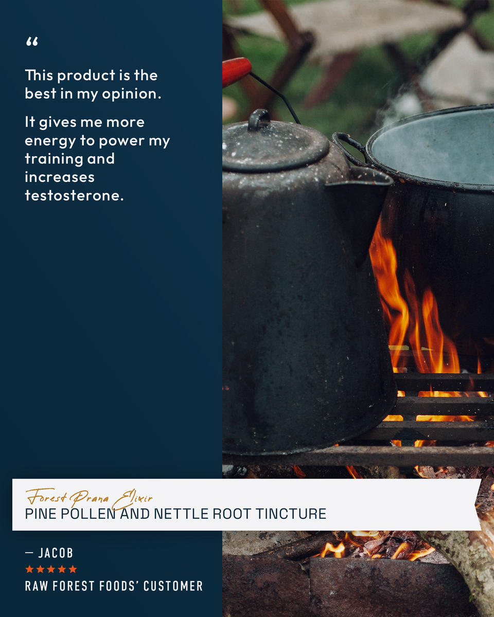 Forest Prana Elixir Pine Pollen and Nettle Root Tincture » 4 Ounce Bottle