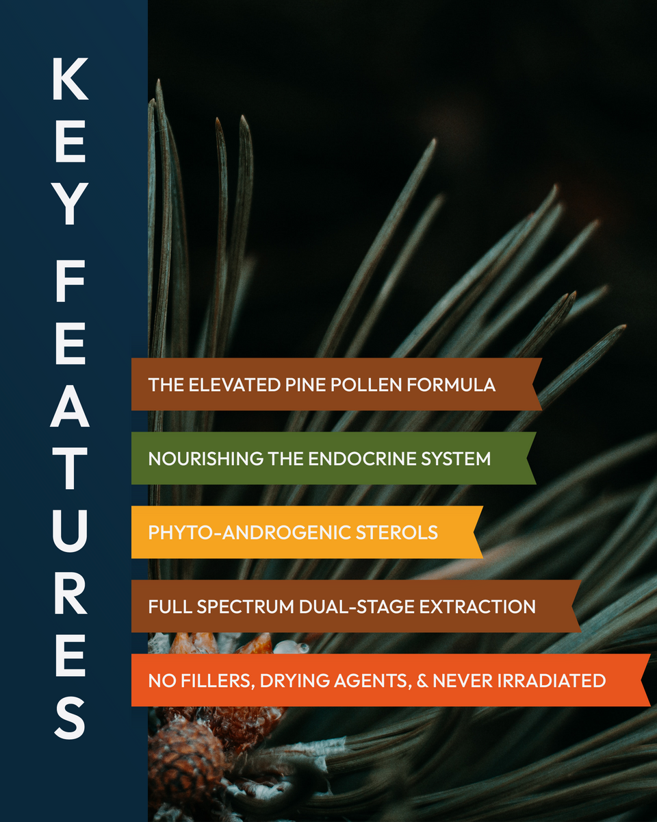 Forest Prana Elixir Pine Pollen and Nettle Root Tincture » 2 Ounce Bottle