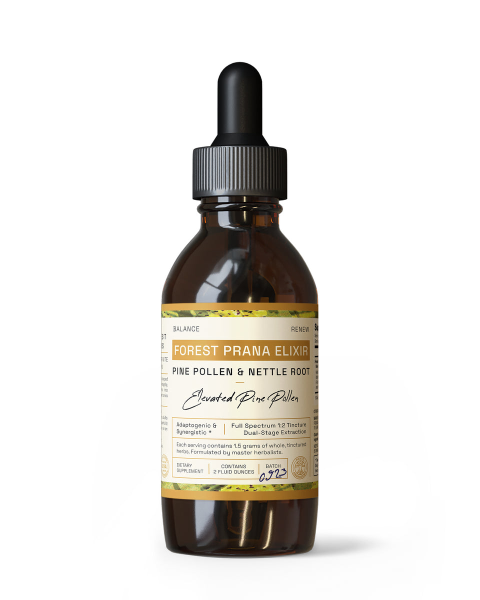 Forest Prana Elixir Pine Pollen and Nettle Root Tincture » 2 Ounce Bottle