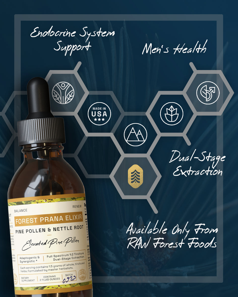 Forest Prana Elixir Pine Pollen and Nettle Root Tincture » 2 Ounce Bottle