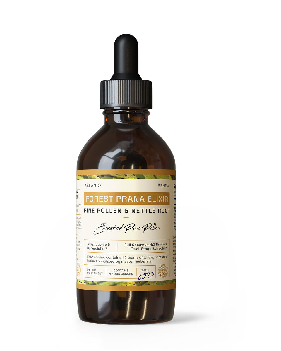 Forest Prana Elixir Pine Pollen and Nettle Root Tincture » 4 Ounce Bottle