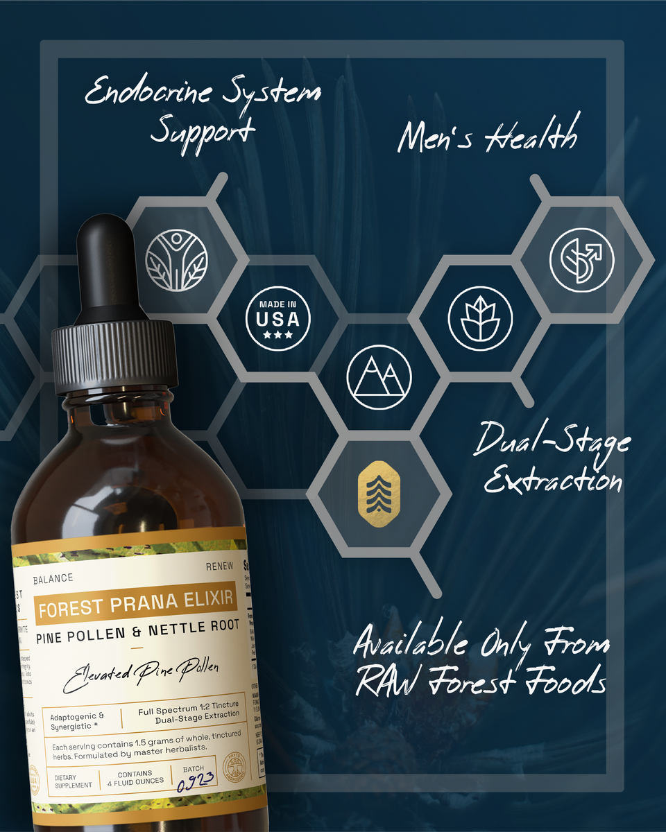 Forest Prana Elixir Pine Pollen and Nettle Root Tincture » 4 Ounce Bottle