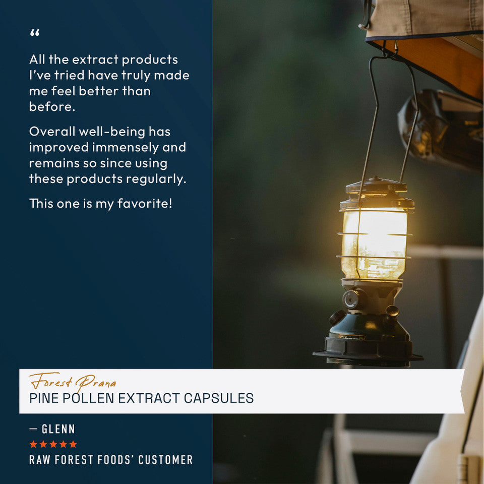 Forest Prana Pine Pollen Extract Capsules » 120 Count Bottle