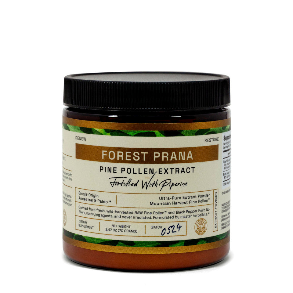 Forest Prana Pine Pollen Extract Powder » 70 Gram Jar