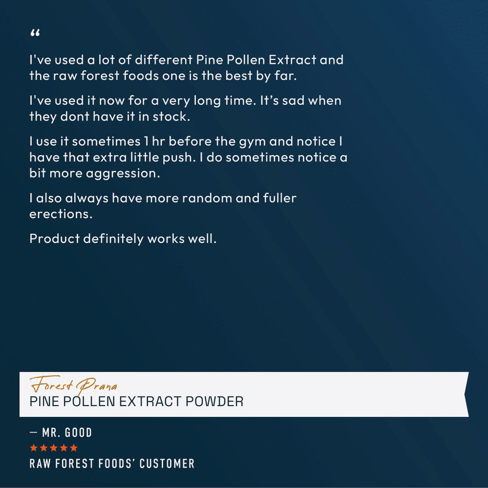 Forest Prana Pine Pollen Extract Powder » 70 Gram Jar
