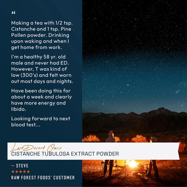 Lost Desert Oasis Cistanche Tubulosa Extract Powder » 70 Gram Jar