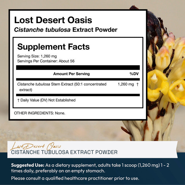Lost Desert Oasis Cistanche Tubulosa Extract Powder » 70 Gram Jar