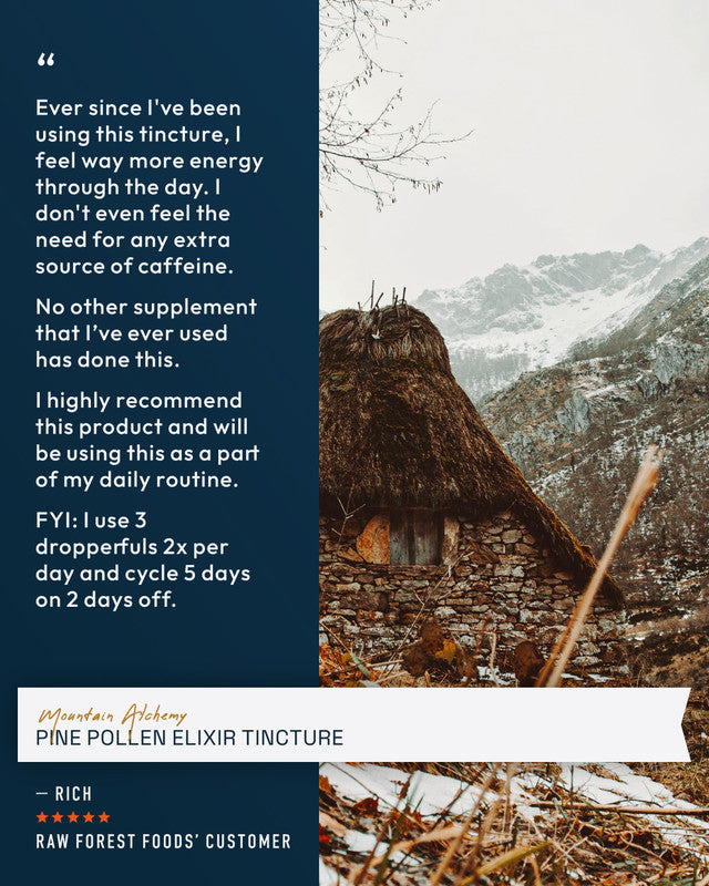 Mountain Alchemy Pine Pollen Elixir Tincture » 2 Ounce Bottle