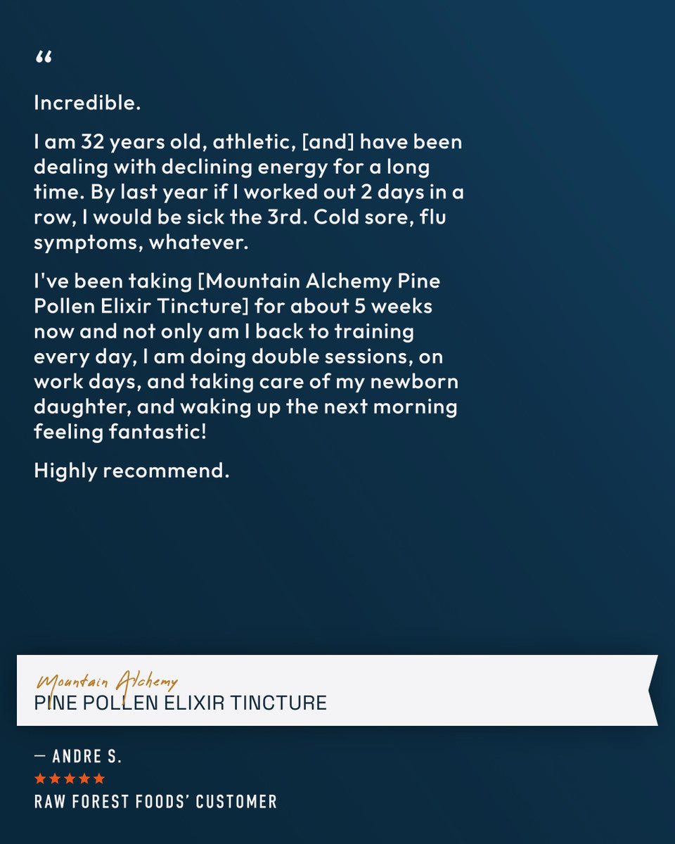 Mountain Alchemy Pine Pollen Elixir Tincture » 4 Ounce Bottle