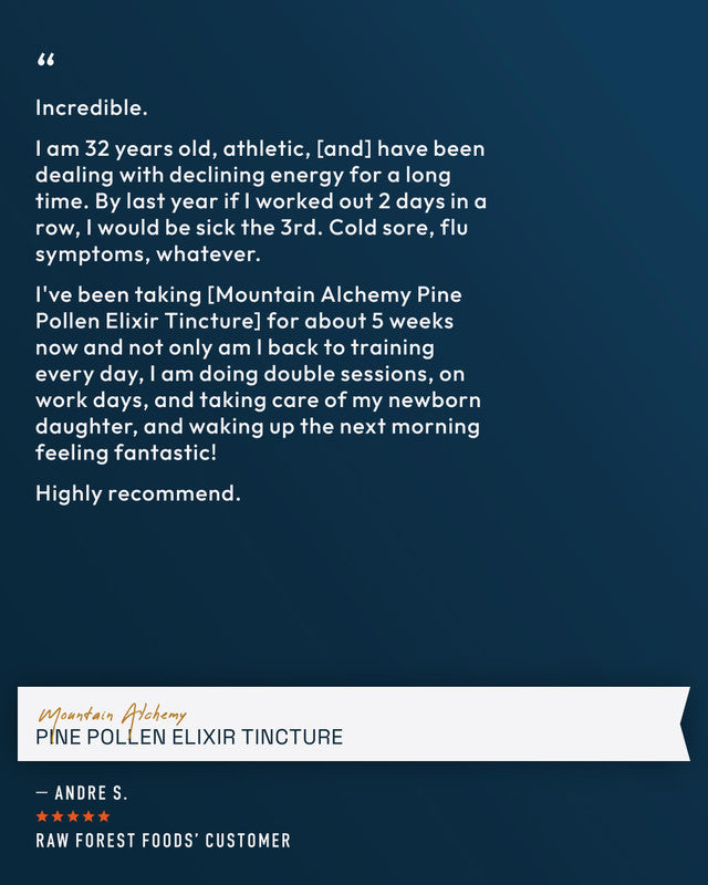 Mountain Alchemy Pine Pollen Elixir Tincture » 2 Ounce Bottle