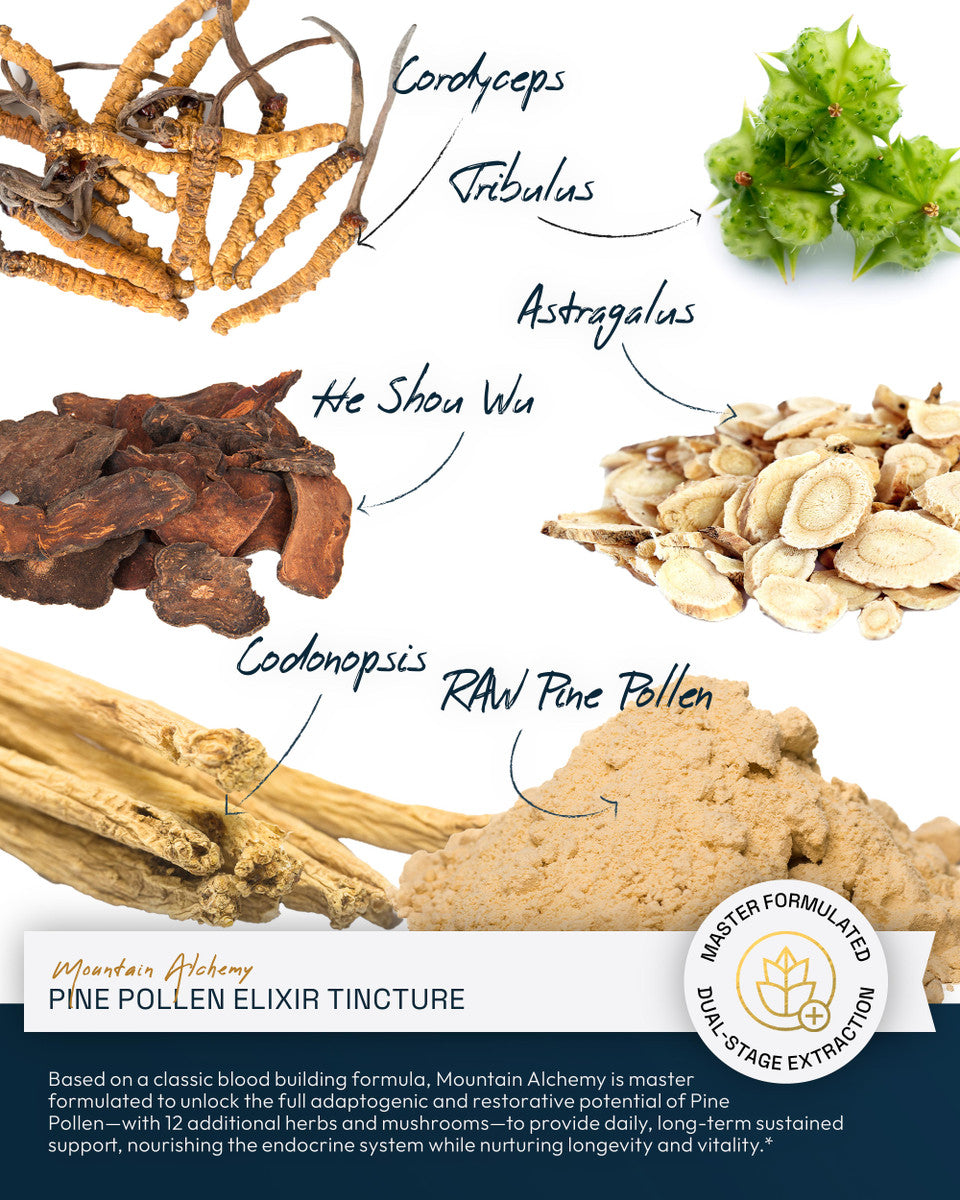 Mountain Alchemy Pine Pollen Elixir Tincture » 4 Ounce Bottle