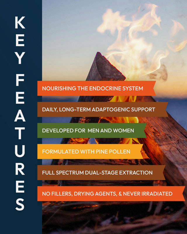 Mountain Alchemy Pine Pollen Elixir Tincture » 2 Ounce Bottle