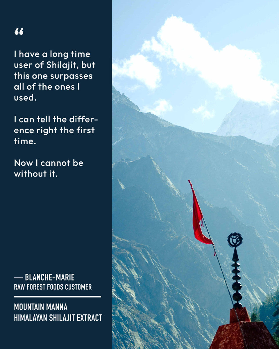 Mountain Manna Himalayan Shilajit Extract Capsules » 120 Count Bottle