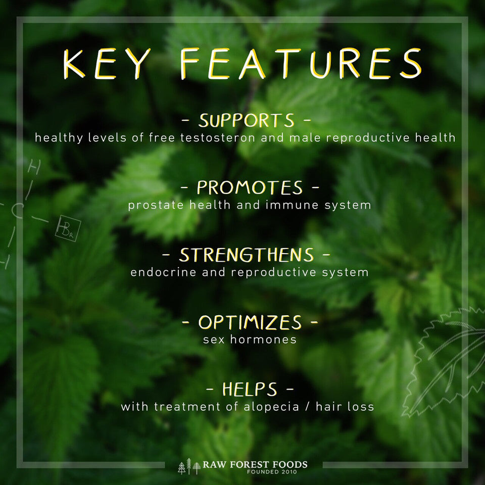 Våren Forest Stinging Nettle Root Extract Powder » 70 Gram Pouch