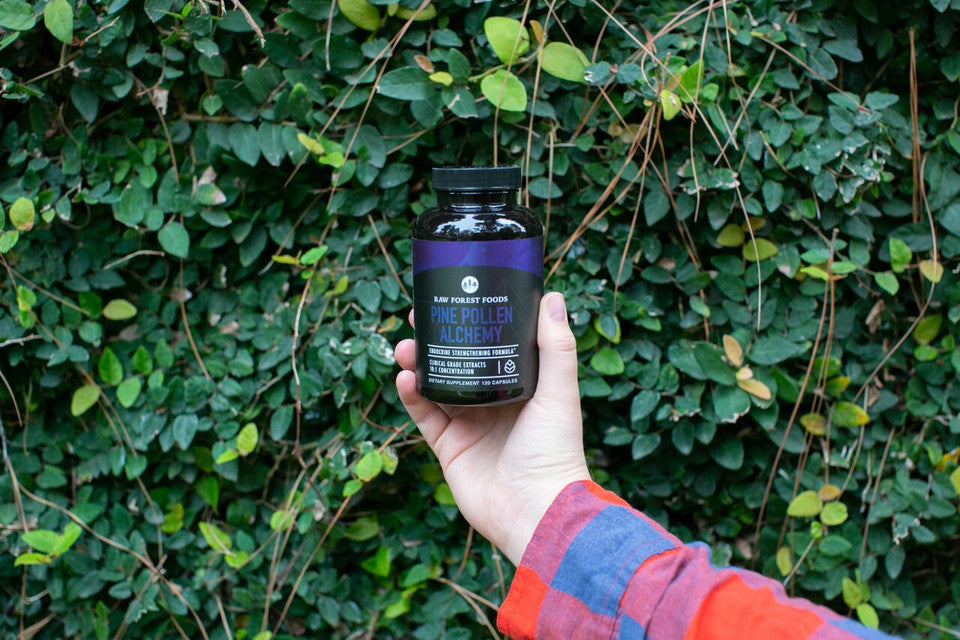 Mountain Alchemy Pine Pollen Elixir Capsules » 120 Count Bottle